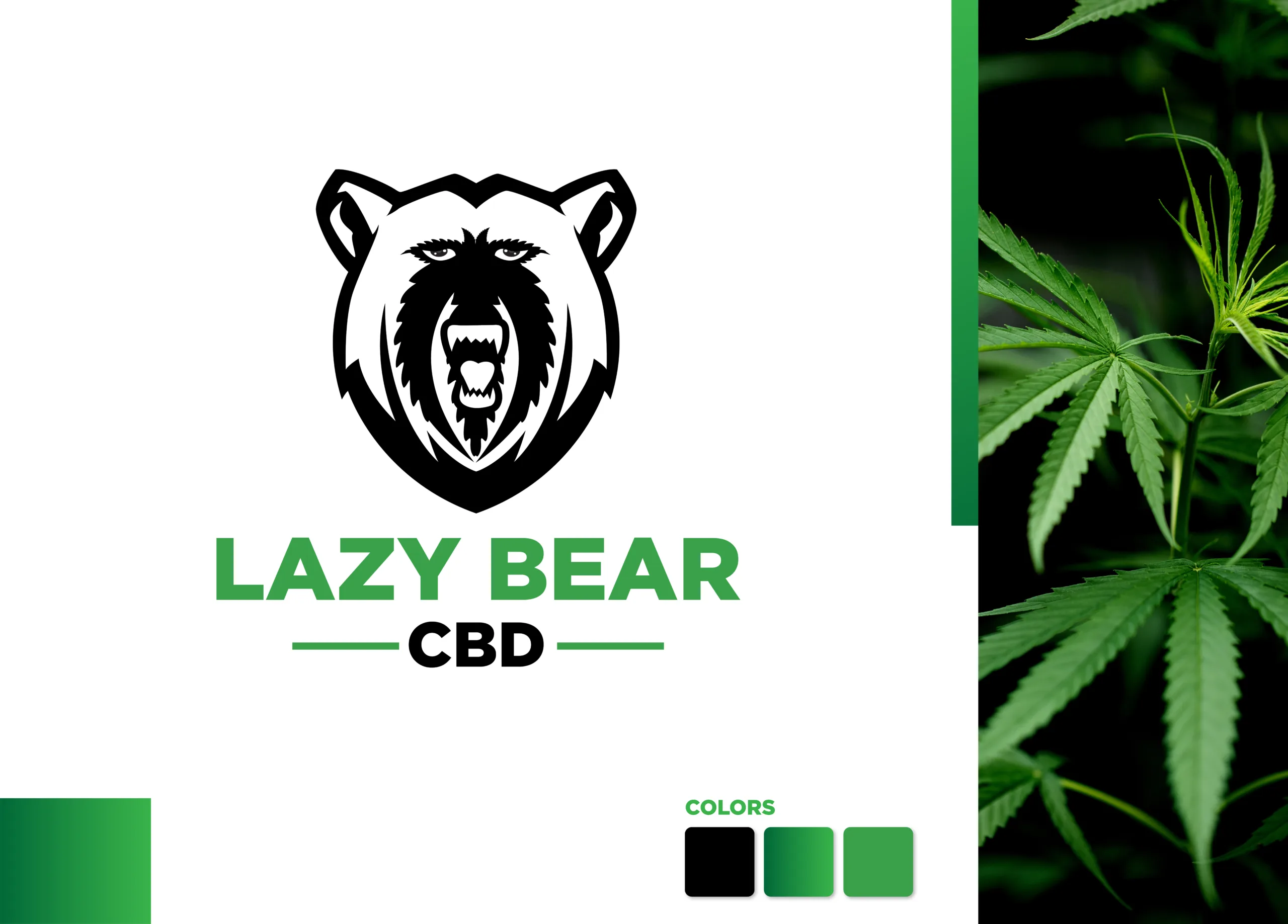 Crafting Excellence: The Story Behind the Lazy Bear CBD Logo Design